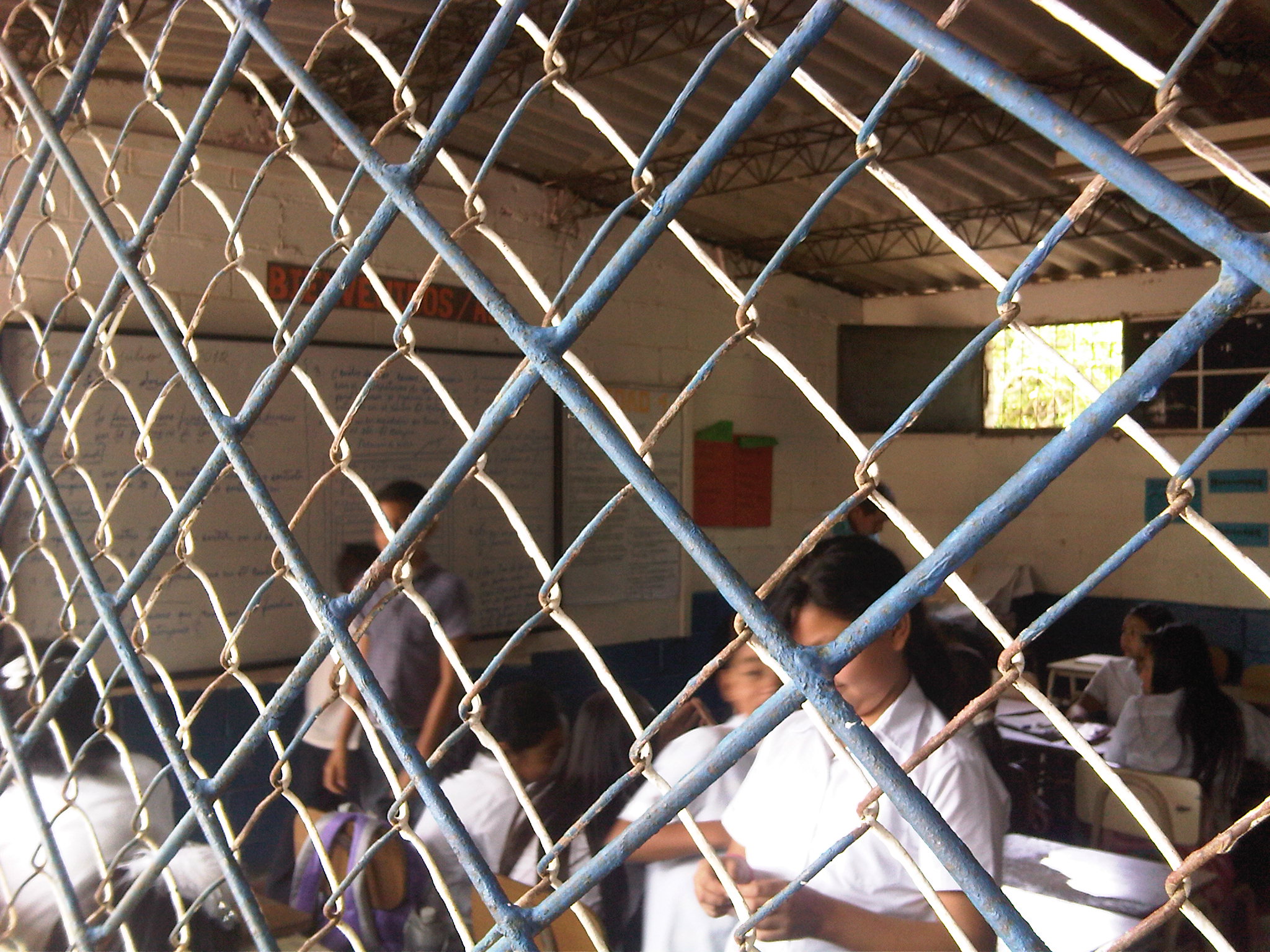La educación y la libertad